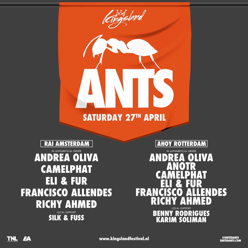 ants1