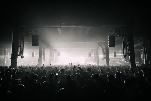 © Photography by Rob Jones (www.instagram.com/hirobjones)